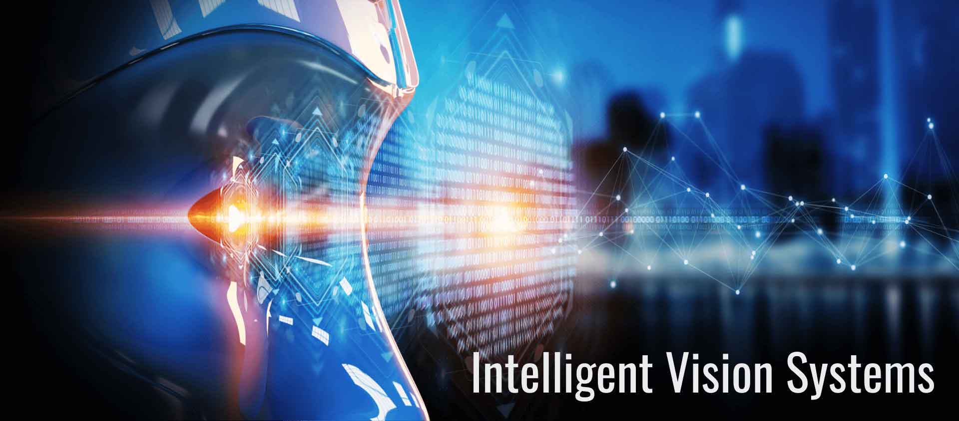 Intelligent Vision Systems